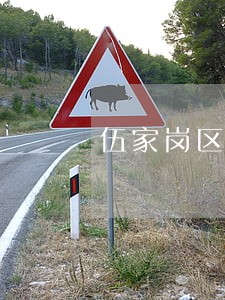伍家岗区非诉讼类在线律师 伍家岗区非诉讼类在线律师
