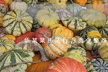 伍某某违法行为责令整改公示