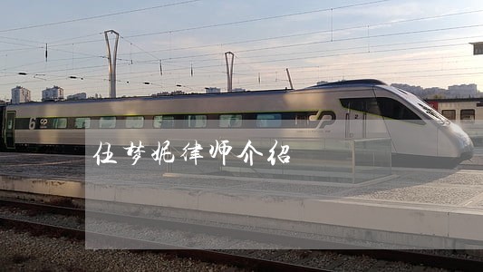 伍梦妮律师介绍 伍梦妮律师介绍