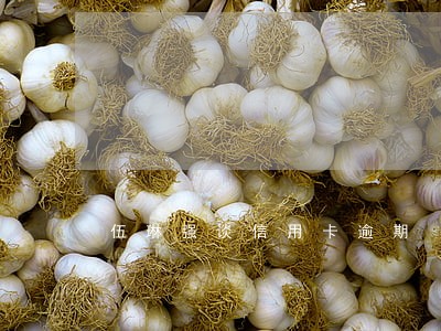 伍琳强谈信用卡逾期 伍琳强谈信用卡逾期