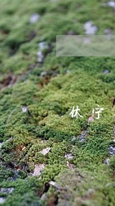休宁县合同违约诉讼律师 休宁县合同违约诉讼律师