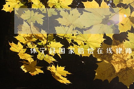 休宁县国家赔偿在线律师 休宁县国家赔偿在线律师