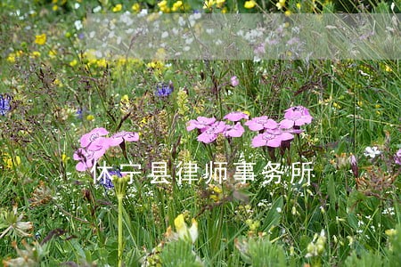 休宁县律师事务所 休宁县律师事务所