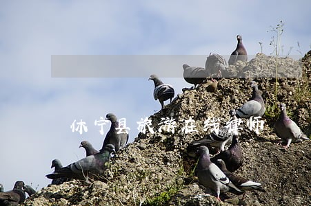休宁县旅游在线律师 休宁县旅游在线律师