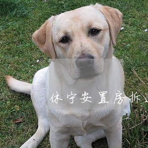 休宁安置房拆迁律师 休宁安置房拆迁律师