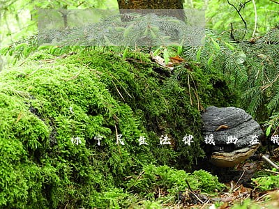 休宁民生法律援助在哪里 休宁民生法律援助在哪里