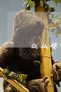 众从律师 众从律师