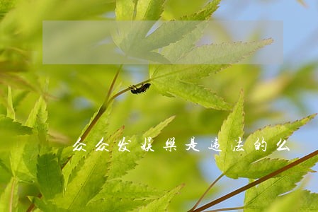 众众发娱乐是违法的么 众众发娱乐是违法的么