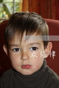 众信律师事务所怎么样
