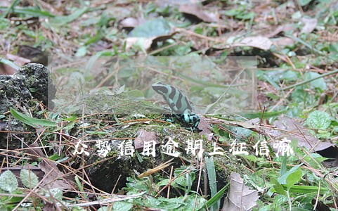 众势信用逾期上征信嘛 众势信用逾期上征信嘛
