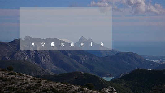 众安保险逾期1年 众安保险逾期1年
