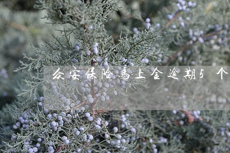 众安保险马上金逾期5个月了 众安保险马上金逾期5个月了