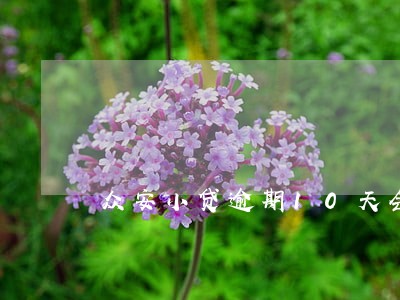 众安小贷逾期10天会怎样 众安小贷逾期10天会怎样