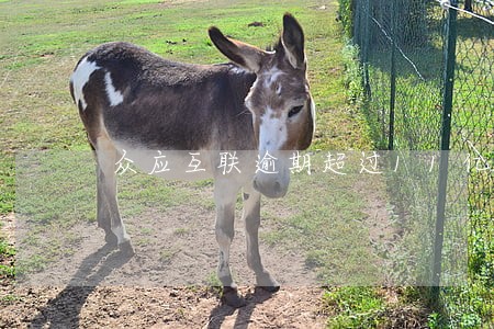 众应互联逾期超过11亿元 众应互联逾期超过11亿元