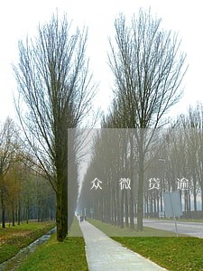 众微贷逾期8000不还会怎么样