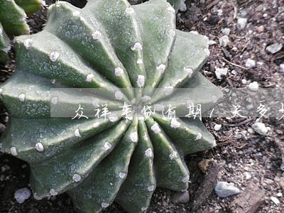 众祥车贷逾期1天多少钱 众祥车贷逾期1天多少钱