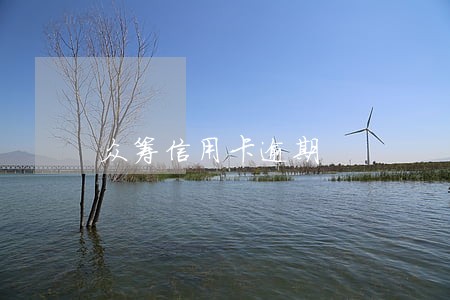 众筹信用卡逾期 众筹信用卡逾期