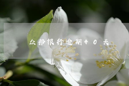 众邦银行逾期40天 众邦银行逾期40天
