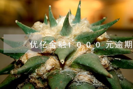 优亿金融1000元逾期 优亿金融1000元逾期