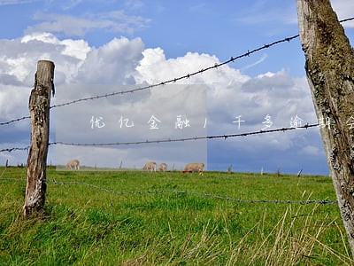 优亿金融1千多逾期会怎么样 优亿金融1千多逾期会怎么样