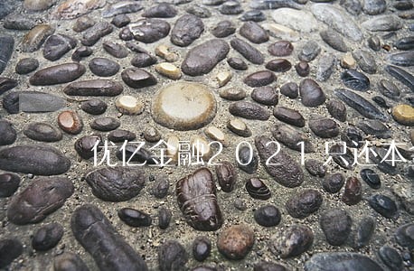 优亿金融2021只还本金 优亿金融2021只还本金