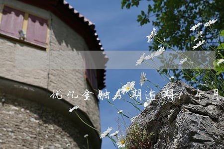 优亿金融分期逾期1个月 优亿金融分期逾期1个月