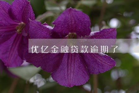 优亿金融贷款逾期了 优亿金融贷款逾期了