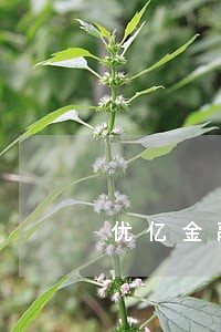优亿金融逾期1天怎么办 优亿金融逾期1天怎么办