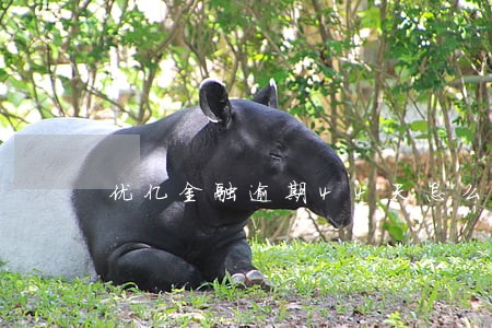 优亿金融逾期44天怎么办