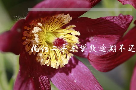 优信二手车贷款逾期不还 优信二手车贷款逾期不还
