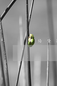 优信贷款逾期了10天 优信贷款逾期了10天