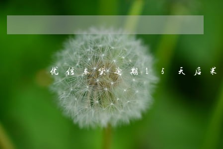 优信车贷逾期15天后果 优信车贷逾期15天后果