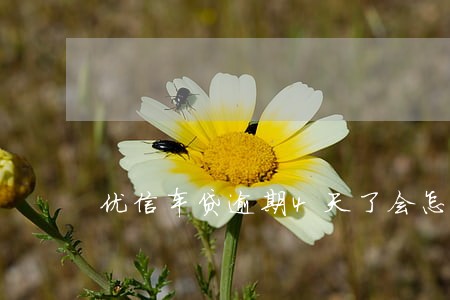 优信车贷逾期4天了会怎样 优信车贷逾期4天了会怎样