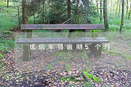 优信车贷逾期5个月 优信车贷逾期5个月