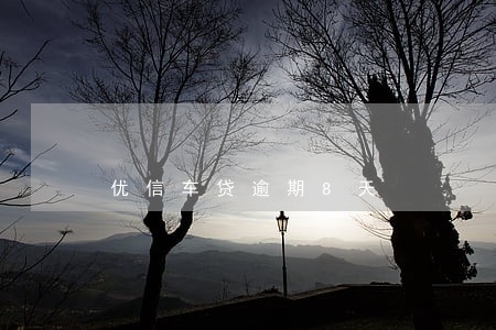 优信车贷逾期8天 优信车贷逾期8天