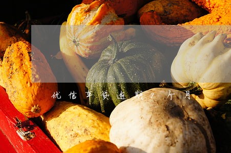优信车贷逾期9个月 优信车贷逾期9个月