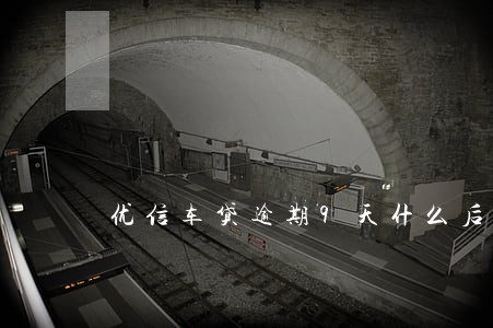 优信车贷逾期9天什么后果 优信车贷逾期9天什么后果