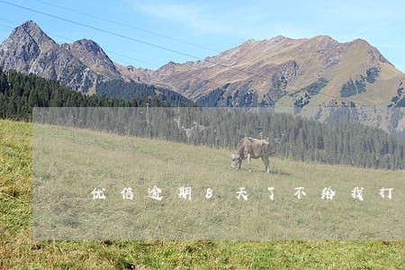优信逾期8天了不给我打电话了 优信逾期8天了不给我打电话了
