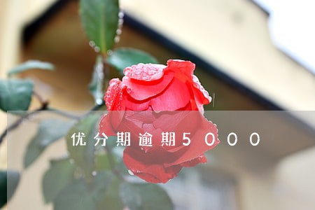 优分期逾期5000 优分期逾期5000