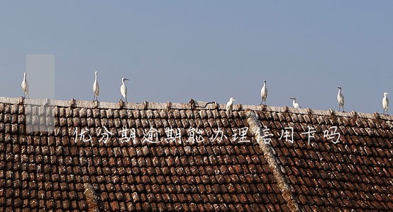 优分期逾期能办理信用卡吗