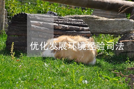 优化发展环境经验司法 优化发展环境经验司法