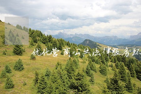 优化营商公共法律服务环境 优化营商公共法律服务环境