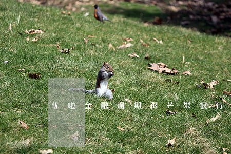 优啦金融逾期跟芒果银行 优啦金融逾期跟芒果银行