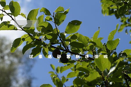 优惠活动套利违法吗 优惠活动套利违法吗