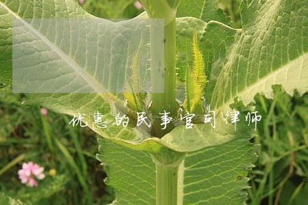 优惠的民事官司律师 优惠的民事官司律师