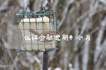 优拉金融逾期4个月 优拉金融逾期4个月