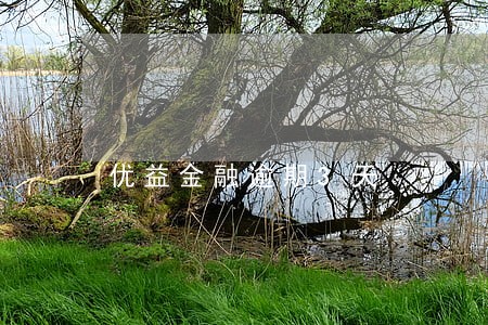优益金融逾期3天 优益金融逾期3天