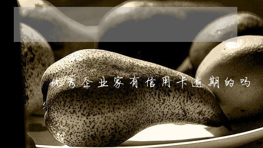 优秀企业家有信用卡逾期的吗