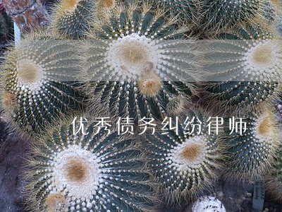 优秀债务纠纷律师