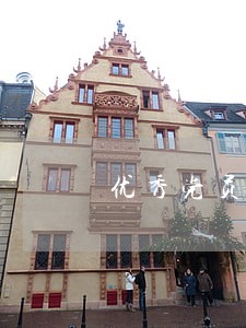 优秀党员法院核查什么